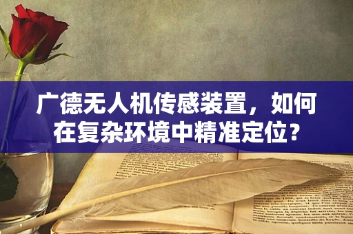 广德无人机传感装置，如何在复杂环境中精准定位？