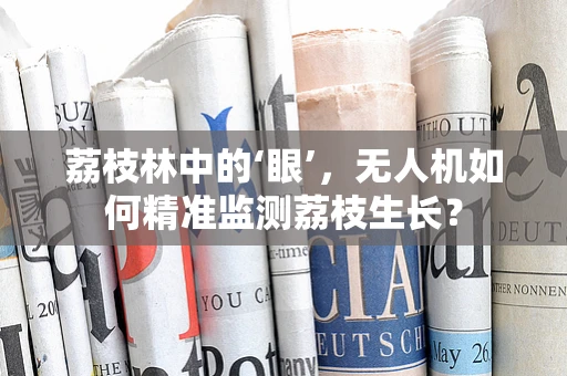 荔枝林中的‘眼’，无人机如何精准监测荔枝生长？