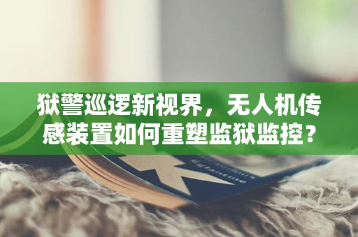 狱警巡逻新视界，无人机传感装置如何重塑监狱监控？