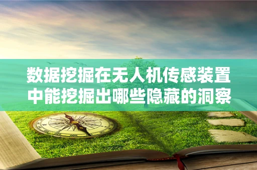 数据挖掘在无人机传感装置中能挖掘出哪些隐藏的洞察？