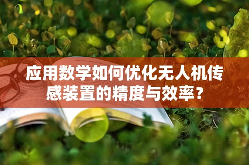 应用数学如何优化无人机传感装置的精度与效率？