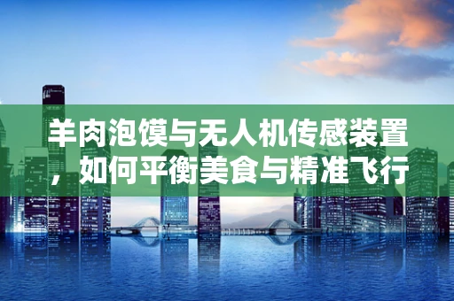 羊肉泡馍与无人机传感装置，如何平衡美食与精准飞行的挑战？