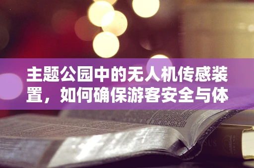 主题公园中的无人机传感装置，如何确保游客安全与体验的双重提升？