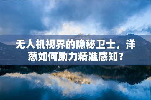 无人机视界的隐秘卫士，洋葱如何助力精准感知？