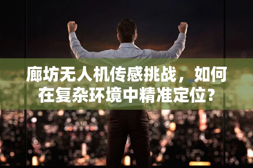廊坊无人机传感挑战，如何在复杂环境中精准定位？