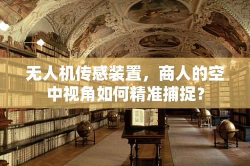 无人机传感装置，商人的空中视角如何精准捕捉？