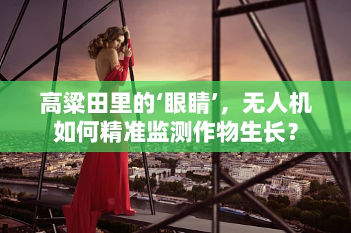 高粱田里的‘眼睛’，无人机如何精准监测作物生长？