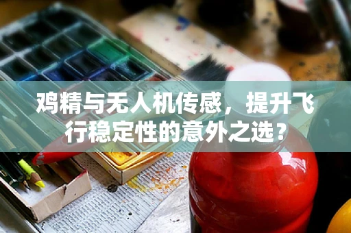 鸡精与无人机传感，提升飞行稳定性的意外之选？