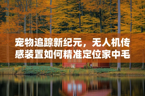 宠物追踪新纪元，无人机传感装置如何精准定位家中毛孩子？