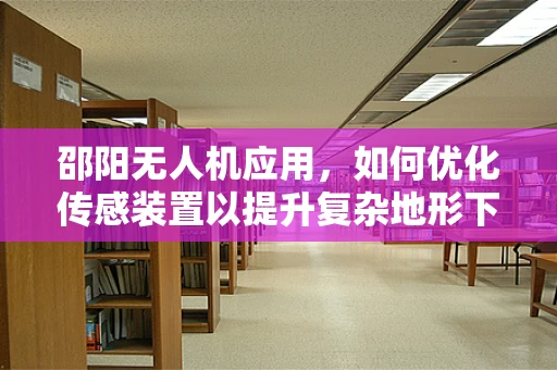 邵阳无人机应用，如何优化传感装置以提升复杂地形下的飞行稳定性？