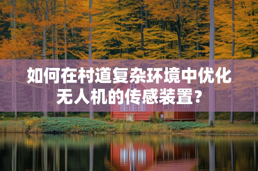 如何在村道复杂环境中优化无人机的传感装置？