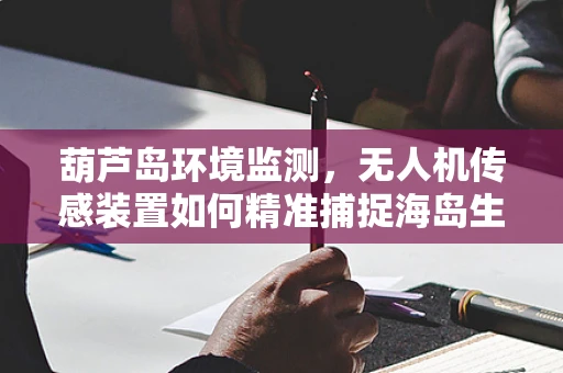 葫芦岛环境监测，无人机传感装置如何精准捕捉海岛生态脉搏？