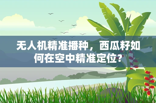无人机精准播种，西瓜籽如何在空中精准定位？
