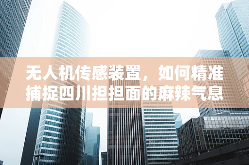 无人机传感装置，如何精准捕捉四川担担面的麻辣气息？