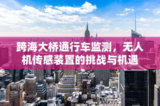 跨海大桥通行车监测，无人机传感装置的挑战与机遇