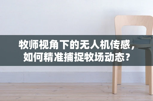 牧师视角下的无人机传感，如何精准捕捉牧场动态？