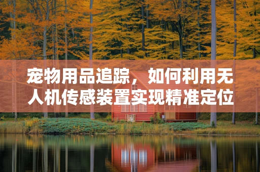 宠物用品追踪，如何利用无人机传感装置实现精准定位？