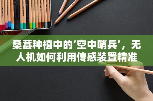 桑葚种植中的‘空中哨兵’，无人机如何利用传感装置精准监测？