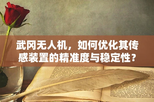 武冈无人机，如何优化其传感装置的精准度与稳定性？