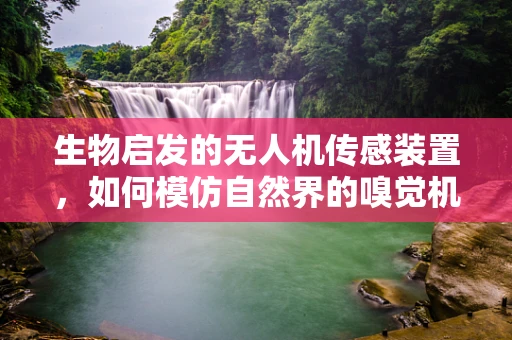 生物启发的无人机传感装置，如何模仿自然界的嗅觉机制？