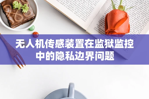 无人机传感装置在监狱监控中的隐私边界问题