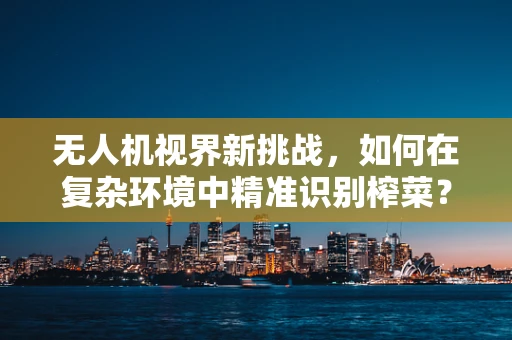 无人机视界新挑战，如何在复杂环境中精准识别榨菜？