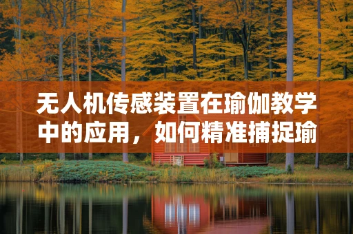 无人机传感装置在瑜伽教学中的应用，如何精准捕捉瑜伽动作的细微变化？