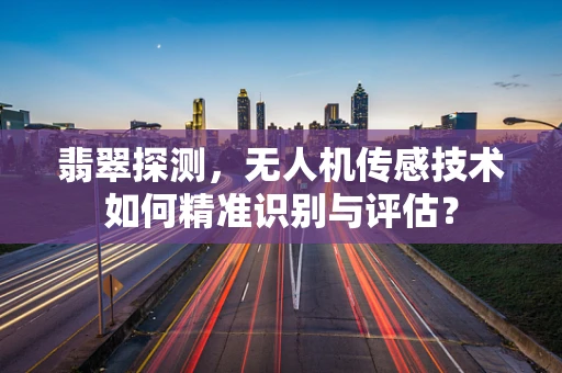 翡翠探测，无人机传感技术如何精准识别与评估？