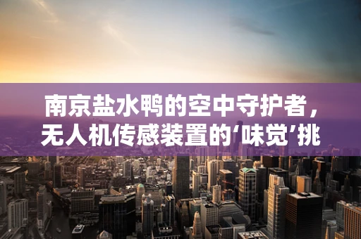 南京盐水鸭的空中守护者，无人机传感装置的‘味觉’挑战
