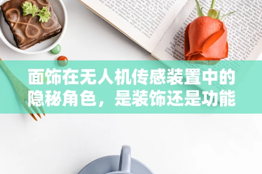 面饰在无人机传感装置中的隐秘角色，是装饰还是功能升级？