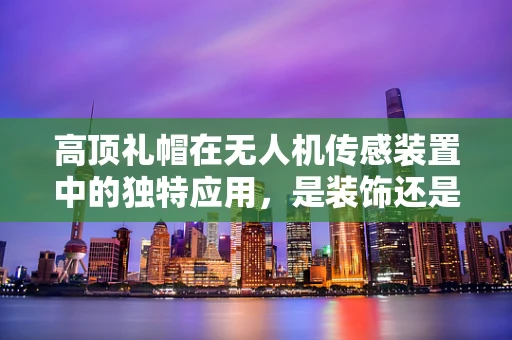 高顶礼帽在无人机传感装置中的独特应用，是装饰还是功能？