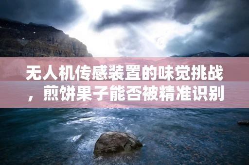 无人机传感装置的味觉挑战，煎饼果子能否被精准识别？