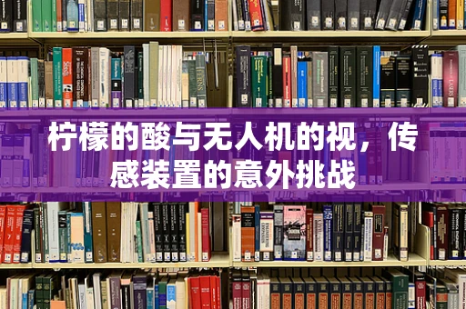 柠檬的酸与无人机的视，传感装置的意外挑战