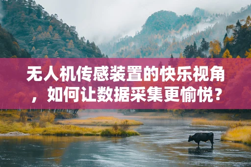 无人机传感装置的快乐视角，如何让数据采集更愉悦？
