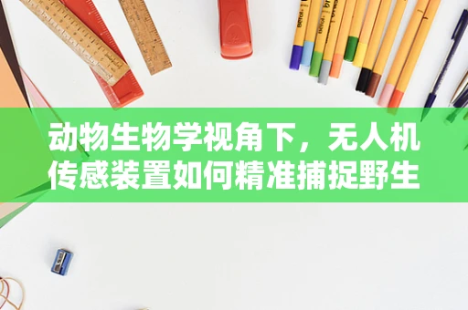 动物生物学视角下，无人机传感装置如何精准捕捉野生动物行为？