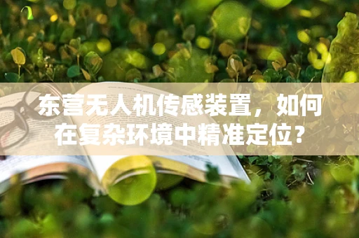 东营无人机传感装置，如何在复杂环境中精准定位？