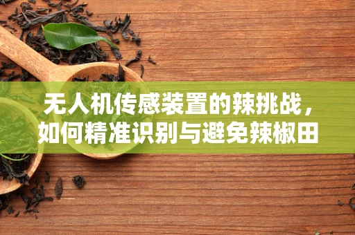 无人机传感装置的辣挑战，如何精准识别与避免辣椒田的误闯？