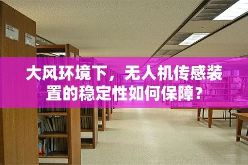 大风环境下，无人机传感装置的稳定性如何保障？
