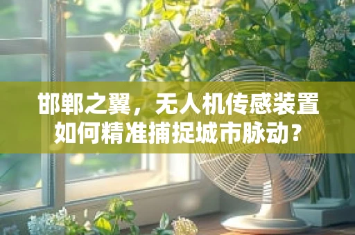邯郸之翼，无人机传感装置如何精准捕捉城市脉动？