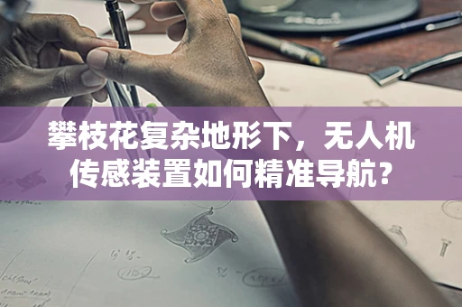 攀枝花复杂地形下，无人机传感装置如何精准导航？