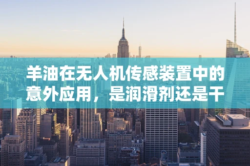 羊油在无人机传感装置中的意外应用，是润滑剂还是干扰源？