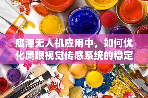 鹰潭无人机应用中，如何优化鹰眼视觉传感系统的稳定性？