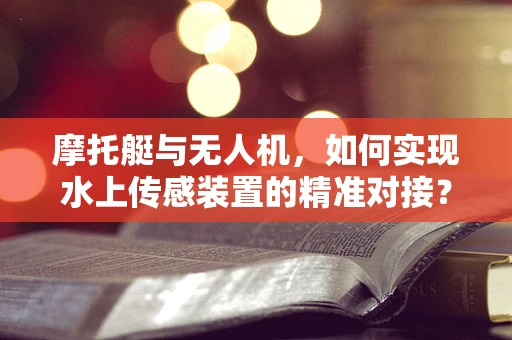 摩托艇与无人机，如何实现水上传感装置的精准对接？