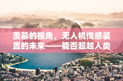 羡慕的视角，无人机传感装置的未来——能否超越人类的感知极限？