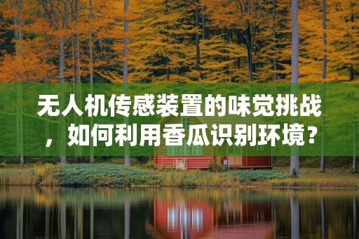 无人机传感装置的味觉挑战，如何利用香瓜识别环境？