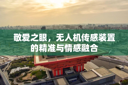 敬爱之眼，无人机传感装置的精准与情感融合
