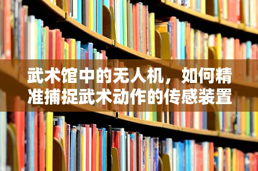 武术馆中的无人机，如何精准捕捉武术动作的传感装置挑战？