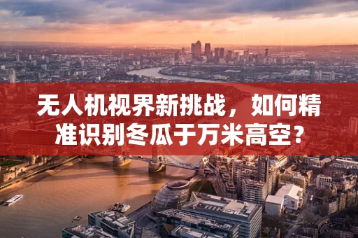 无人机视界新挑战，如何精准识别冬瓜于万米高空？