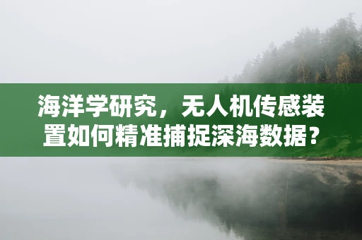 海洋学研究，无人机传感装置如何精准捕捉深海数据？