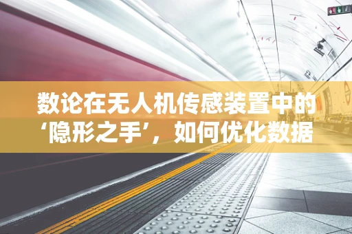 数论在无人机传感装置中的‘隐形之手’，如何优化数据编码效率？
